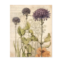 ヴィンテージの植物性ハーブスクラップブック紙