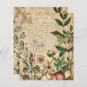 ヴィンテージの植物性ハーブスクラップブック紙 (正面/裏面)