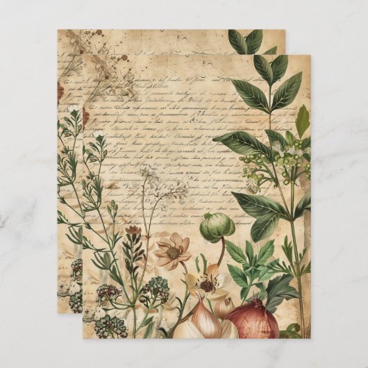 ヴィンテージの植物性ハーブスクラップブック紙 (正面/裏面)