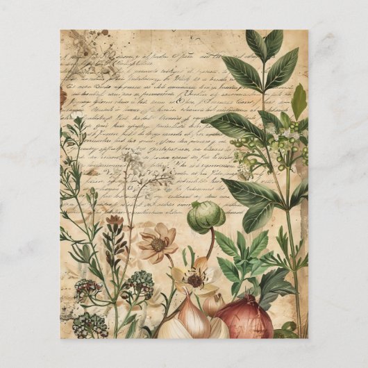 ヴィンテージの植物性ハーブスクラップブック紙 (裏面)