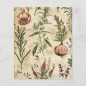 ヴィンテージの植物性ハーブスクラップブック紙 (裏面)