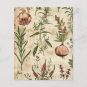 ヴィンテージの植物性ハーブスクラップブック紙 (正面)