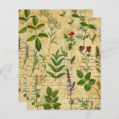 ヴィンテージの植物性ハーブスクラップブック紙 (正面/裏面)