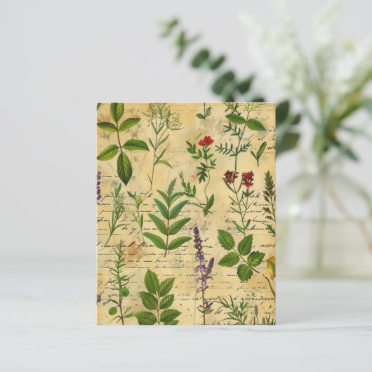 ヴィンテージの植物性ハーブスクラップブック紙 (スタンド正面)