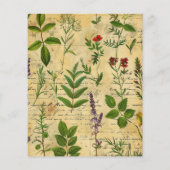 ヴィンテージの植物性ハーブスクラップブック紙 (裏面)