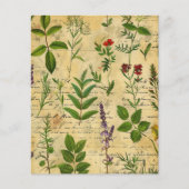 ヴィンテージの植物性ハーブスクラップブック紙 (正面)