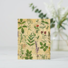 ヴィンテージの植物性ハーブスクラップブック紙