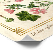 ヴィンテージの植物性ハーブピンクのマロー ポスター (角)