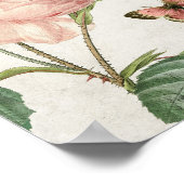 ヴィンテージの植物性ピンクローズと蝶 ポスター (角)