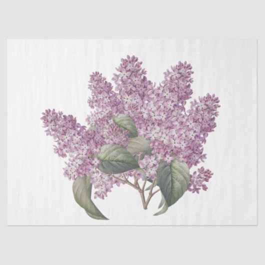 ヴィンテージの植物性ピンク薄紫ブーケの切り離し 薄葉紙 (正面)