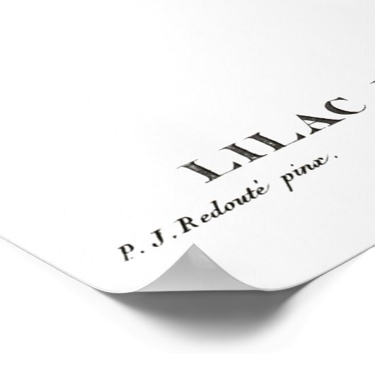 ヴィンテージの植物性プリントの中国の薄紫 ポスター (角)