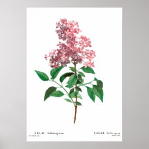 ヴィンテージの植物性プリントの中国の薄紫