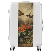 ヴィンテージの植物界ハミングバードと花