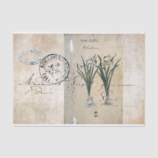 ヴィンテージの植物相の植物のパリの郵便料金のティッシュペーパー 薄葉紙 (正面)