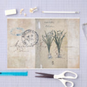 ヴィンテージの植物相の植物のパリの郵便料金のティッシュペーパー 薄葉紙 (クラフト)