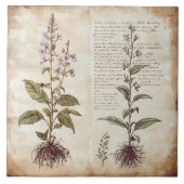 ヴィンテージの植物科学図草 タイル (正面)