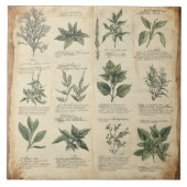 ヴィンテージの植物科学図草 タイル (正面)