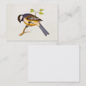 ヴィンテージの歌の鳥のイラストレーション- 1800's鳥 名刺 (正面/裏面)