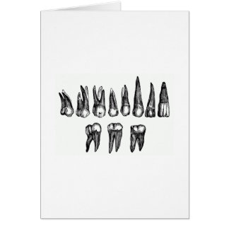 ヴィンテージの歯