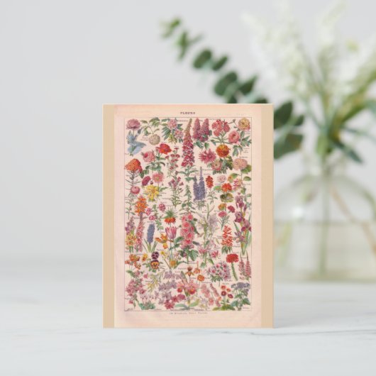ヴィンテージの歴史的な花 ポストカード (スタンド正面)