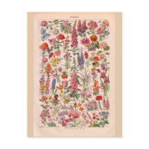 ヴィンテージの歴史的な花