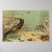ヴィンテージの海底の生物 海の中の動物たち ポスター (正面)