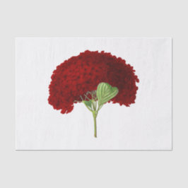 ヴィンテージの深紅のアジサイの花 フローラル 薄葉紙