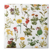 ヴィンテージの無花模様 タイル (正面)