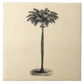 ヴィンテージの熱帯島のヤシの木のテンプレートのブランク タイル (正面)