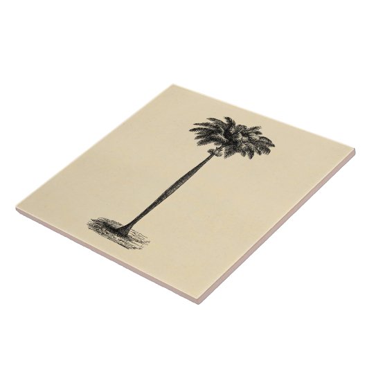 ヴィンテージの熱帯島のヤシの木のテンプレートのブランク タイル (側面)