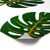 ヴィンテージの熱帯性モンスラの葉のポスター ポスター (角)