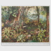 ヴィンテージの熱帯林植物のスケッチ ラッピングペーパー (フラット)