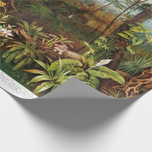 ヴィンテージの熱帯林植物のスケッチ ラッピングペーパー (角)