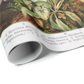 ヴィンテージの熱帯林植物のスケッチ ラッピングペーパー (ロールコーナー)