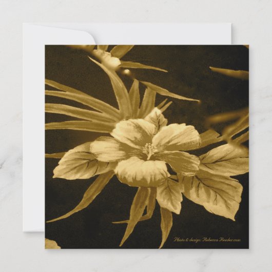 ヴィンテージの熱帯結婚式 招待状 (裏面)