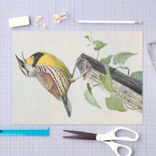 ヴィンテージの牧草地のヒバリの水色 薄葉紙 (クラフト)