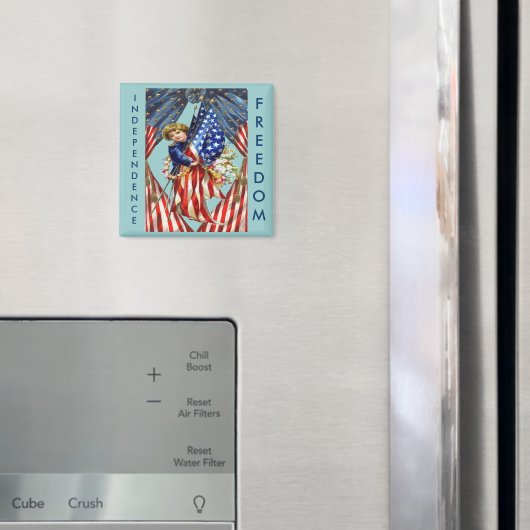 ヴィンテージの独立と自由 マグネット (インサイチュ (冷蔵庫))