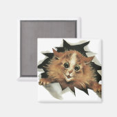 ヴィンテージの猫がギフトマグネットを見ている マグネット (正面/裏面)