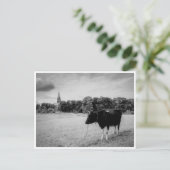 ヴィンテージの田舎に牛の黒/白 ポストカード (スタンド正面)
