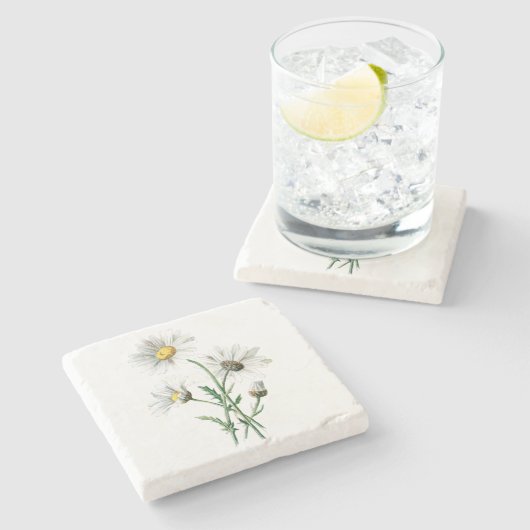 ヴィンテージの白いデイジーの花のイラストレーションの花柄 ストーンコースター (横)
