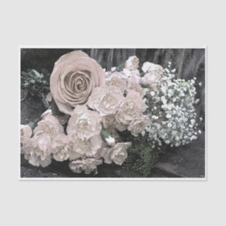 ヴィンテージの白いバラのカーネーションのベビーの呼吸 薄葉紙