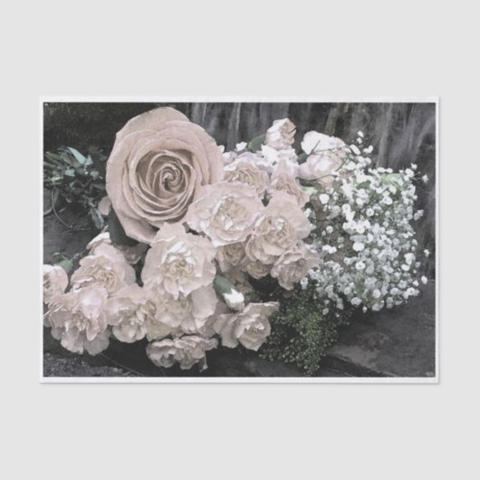 ヴィンテージの白いバラのカーネーションのベビーの呼吸 薄葉紙 (正面)