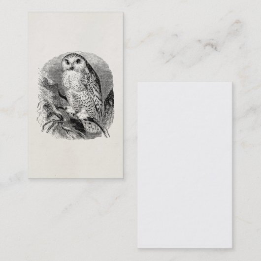 ヴィンテージの白いフクロウの鳥のパーソナライズなフクロウの鳥 名刺 (正面/裏面)