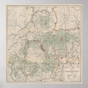 ヴィンテージの白い山の国有林Map (1931年) ポスター