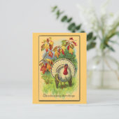 ヴィンテージの白トルコ ポストカード (スタンド正面)