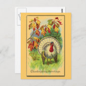 ヴィンテージの白トルコ ポストカード (正面/裏面)