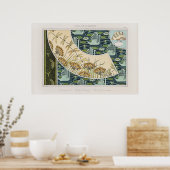 ヴィンテージの白鳥、睡蓮とトンボ ポスター (キッチン)