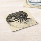 ヴィンテージの白黒コンシュの貝 スクエアペーパーコースター (アングル)