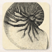 ヴィンテージの白黒コンシュの貝 スクエアペーパーコースター (正面)