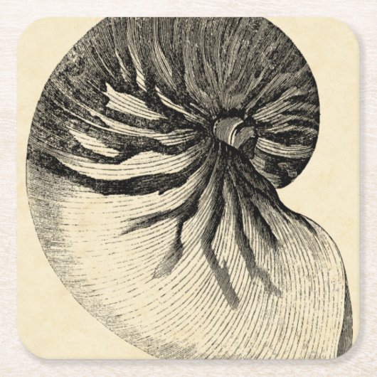 ヴィンテージの白黒コンシュの貝 スクエアペーパーコースター (正面)